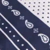 Bandana de seda estampada 60×60