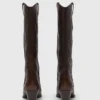 Botas de cowboy em pele