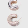 Brincos com strass