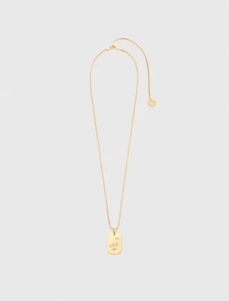 Colar com placa do signo do zodíaco