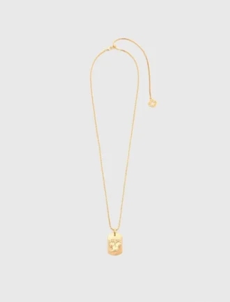 Colar com placa do signo do zodíaco