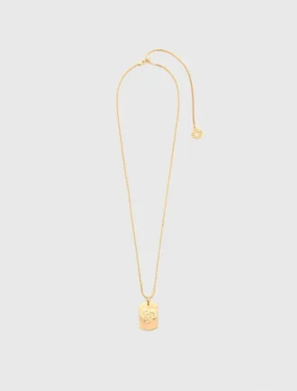 Colar com placa do signo do zodíaco