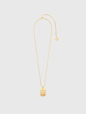 Colar com placa do signo do zodíaco