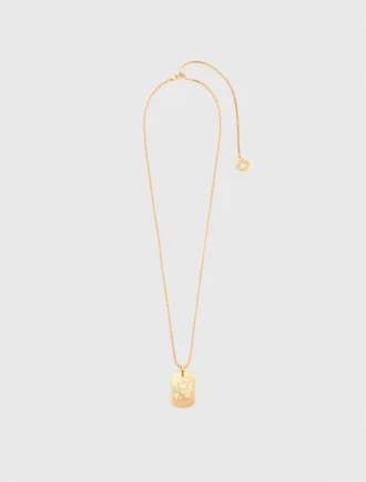 Colar com placa do signo do zodíaco