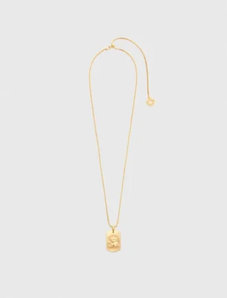 Colar com placa do signo do zodíaco