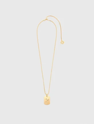 Colar com placa do signo do zodíaco