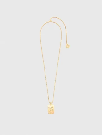 Colar com placa do signo do zodíaco