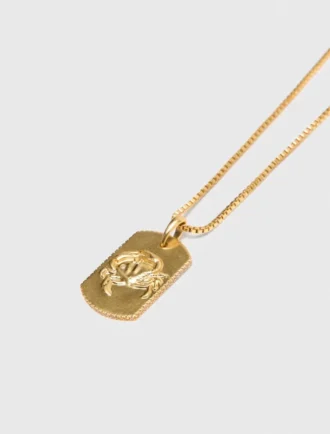Colar com placa do signo do zodíaco