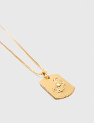 Colar com placa do signo do zodíaco