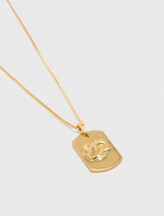 Colar com placa do signo do zodíaco