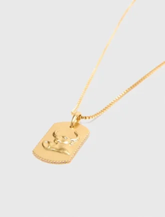 Colar com placa do signo do zodíaco