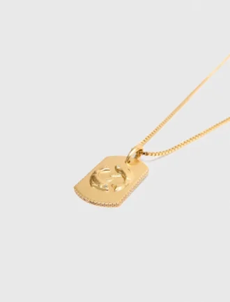 Colar com placa do signo do zodíaco