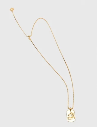 Colar com placa do signo do zodíaco